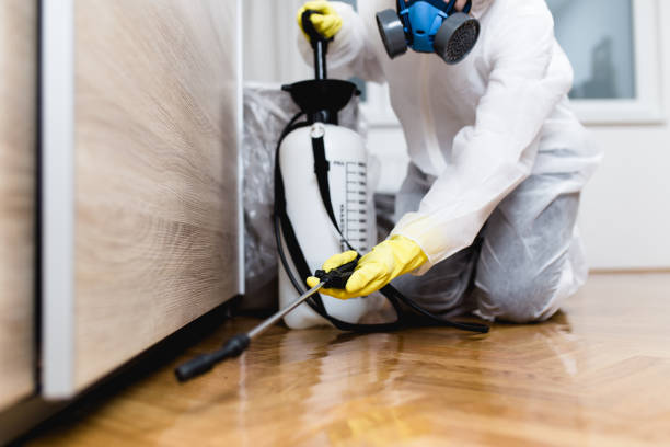 Best Bed Bug Extermination  in North Potomac, MD