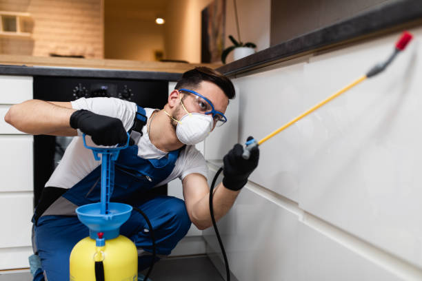 Best Local Pest Control Services  in North Potomac, MD
