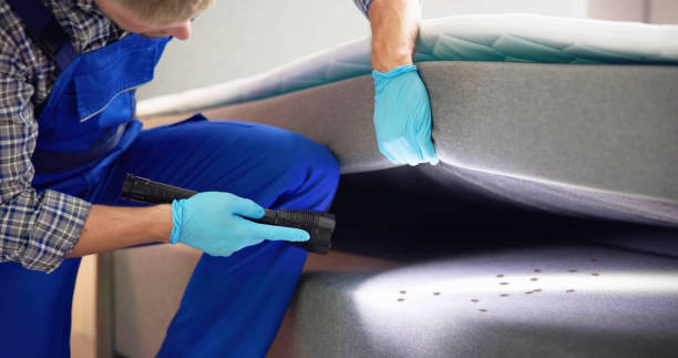 Best Pest Control Near Me  in North Potomac, MD